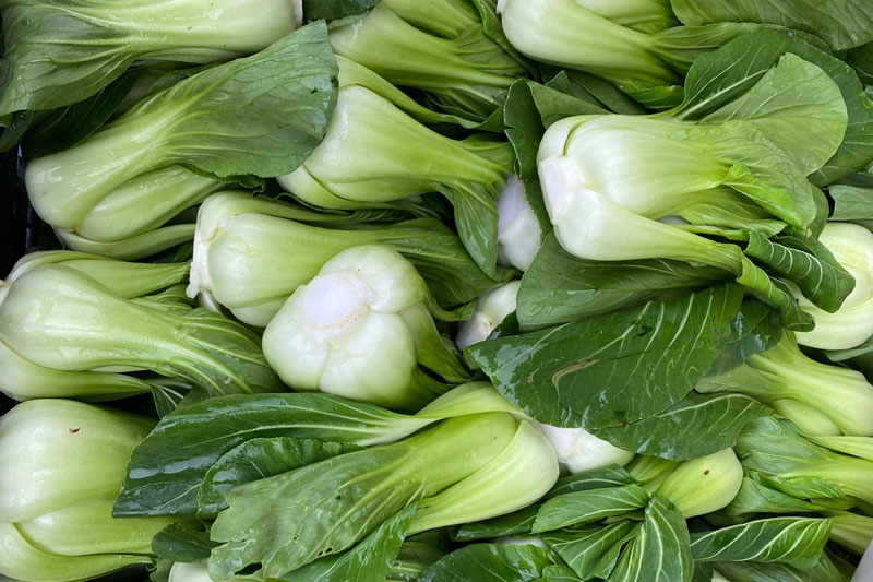 Bok Choy